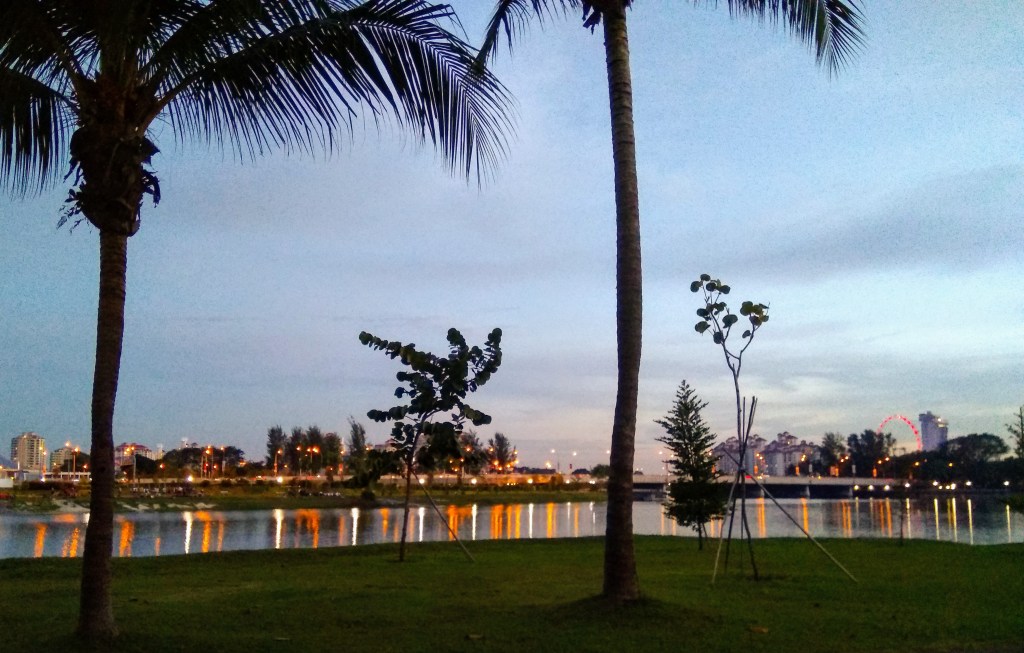 IMG_20170930_191103